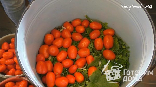 Квашеные помидоры на зиму фото к рецепту 6