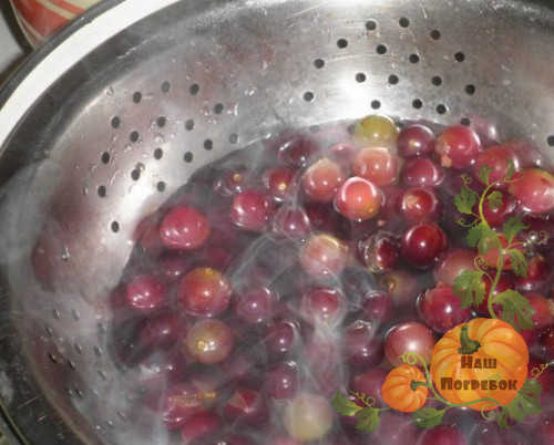 blanshirovanie-vinograda
