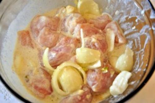 Шашлык на шпажках на сковороде. Куриные шашлычки на шпажках на сковороде