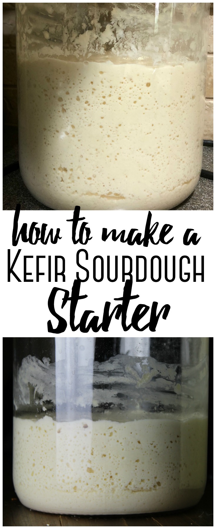 Gallon jar of kefir sourdough starter that