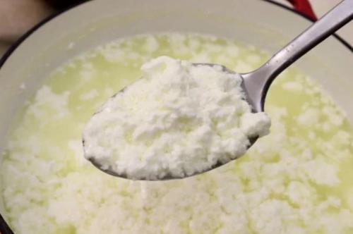 Курт из творога. Курт: рецепт из творога